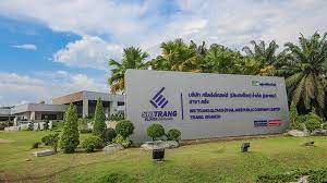 Sri Trang Gloves Eyes Rising Gloves Demand In 2021