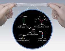 What makes elastomers tougher? Japanese researchers weigh in on chemical bonds