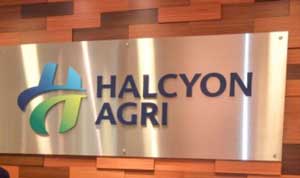 Halcyon raises US$5 mn funds for digital marketplace