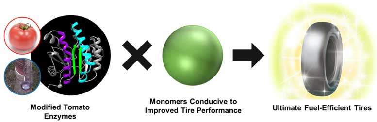 Sumitomo Rubber able to synthesise biopolymer for tyres