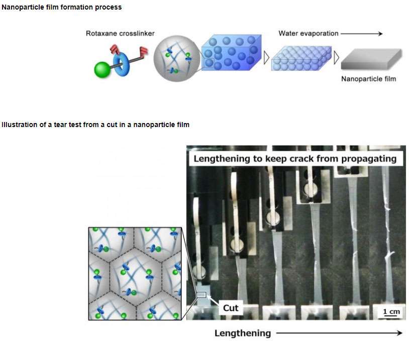    Yokohama Rubber develops additive-free, highly crack-resistant rubber material  