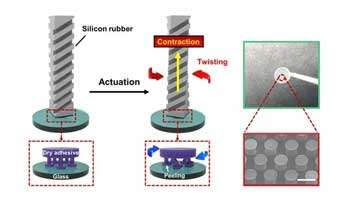 Bio-inspired breakthrough in robotic handling inspired by geckos